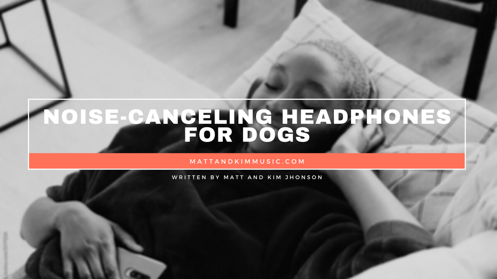 NoiseCanceling Headphones for Dogs Matt and Kim Music